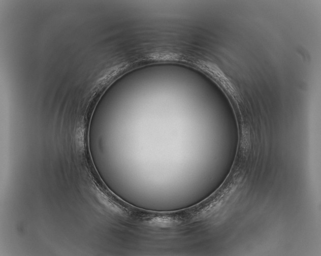 X0000112400441200908211119