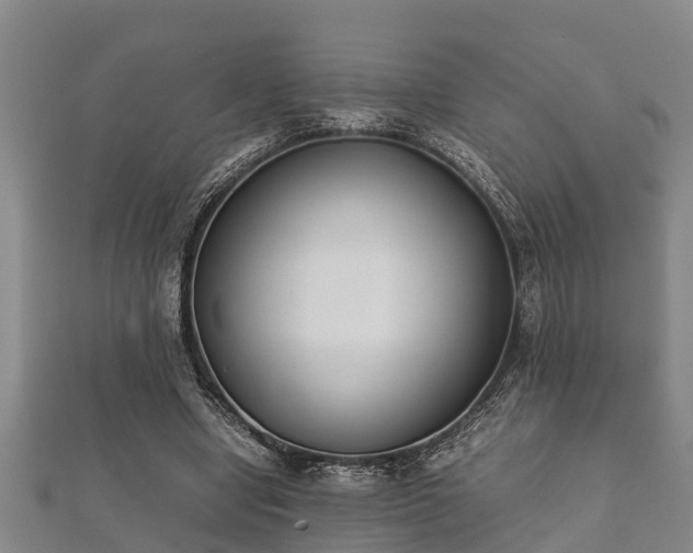 X0000112400442200908211119