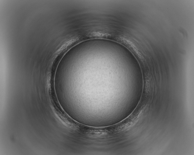 X0000112400443200908211119