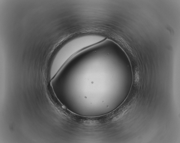 X0000112400444200908211119