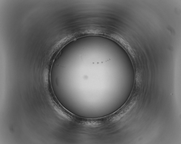 X0000112400445200908211119