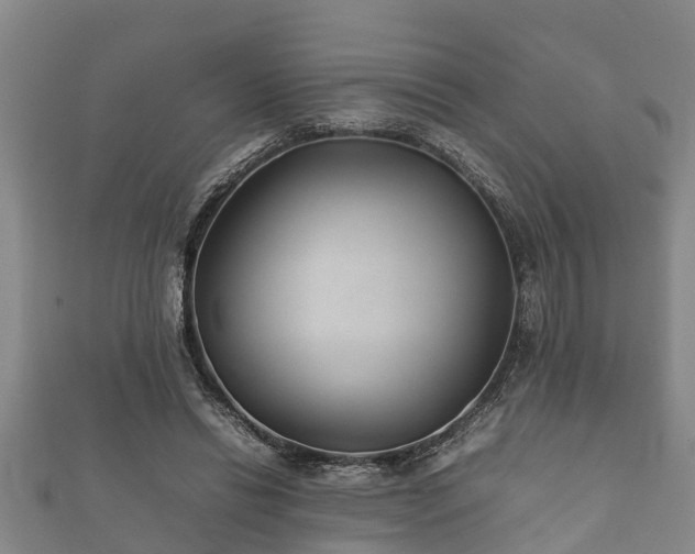 X0000112400446200908211119