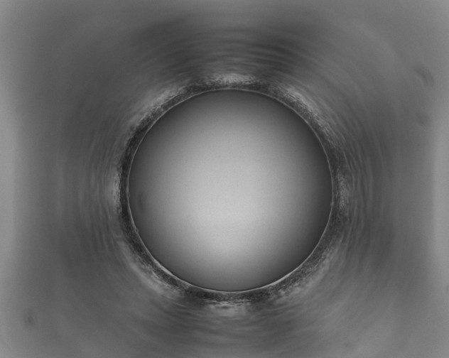 X0000112400447200908211119