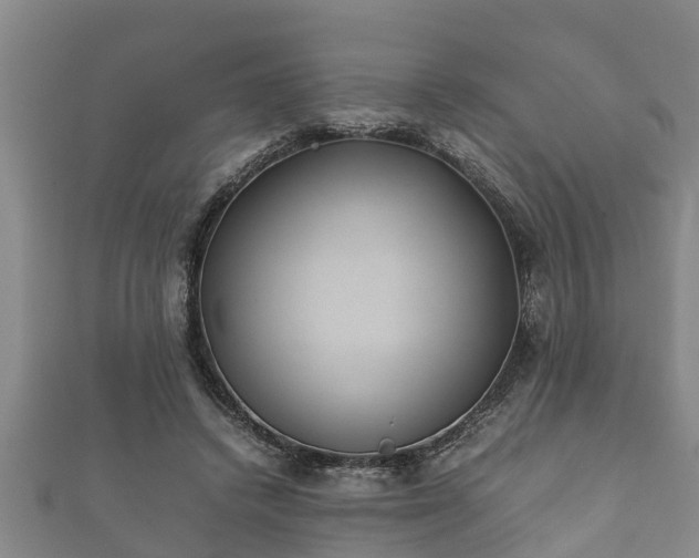 X0000112400448200908211119