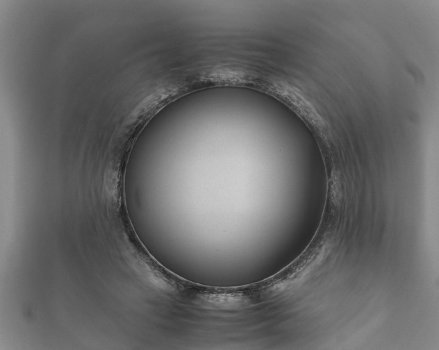 X0000112400449200908211119