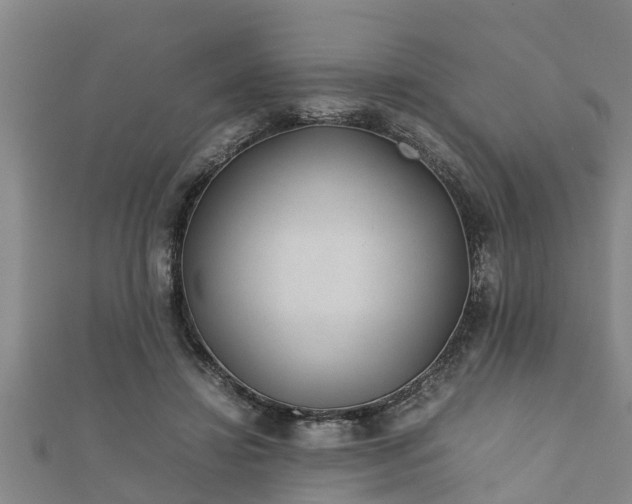 X0000112400452200908211119