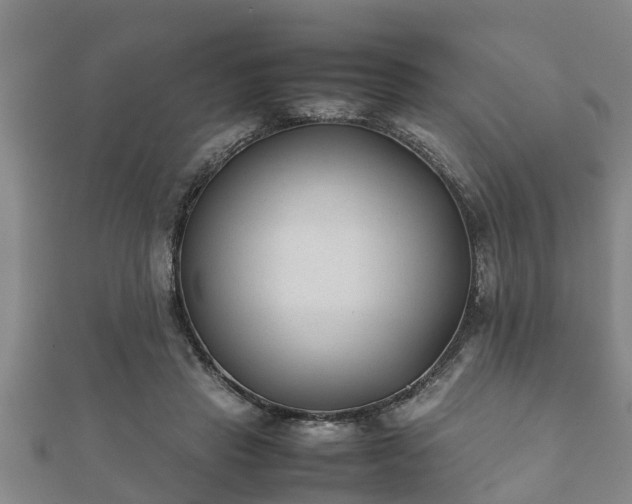 X0000112400453200908211119