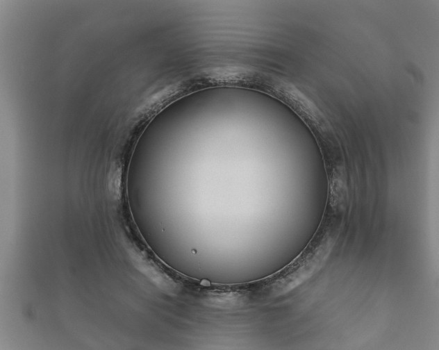X0000112400454200908211119