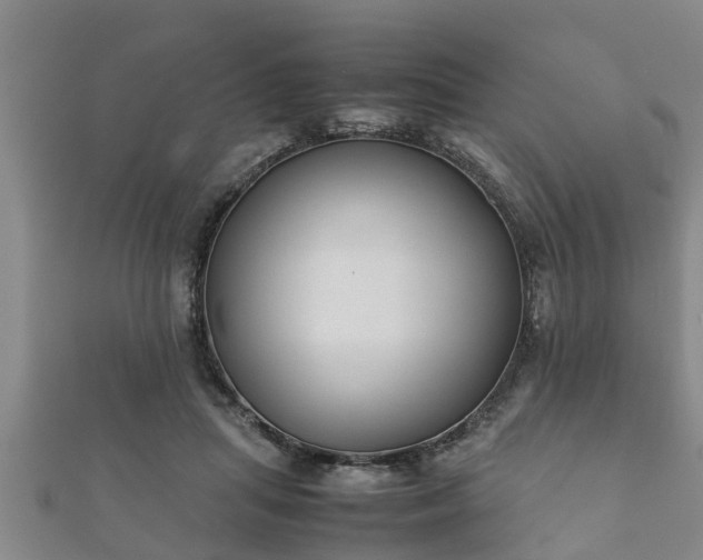 X0000112400455200908211119