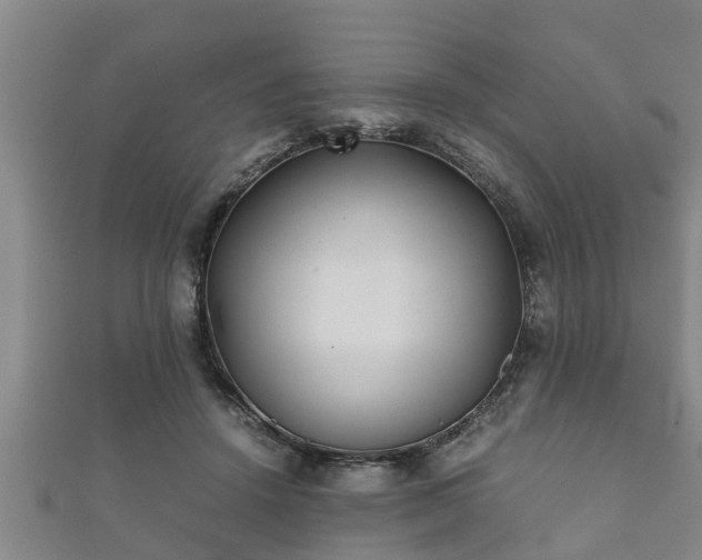 X0000112400456200908211119
