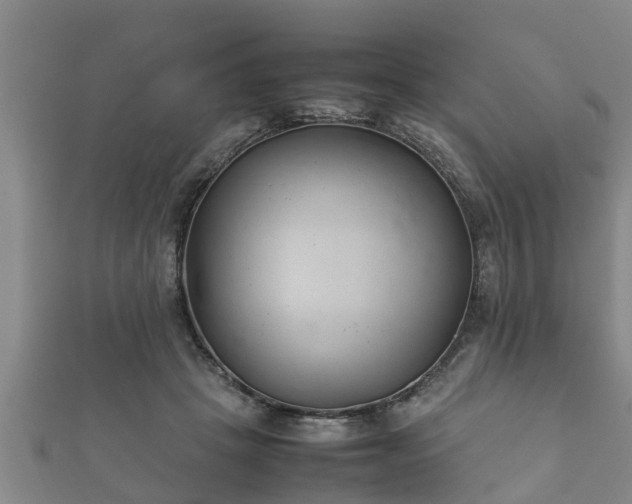 X0000112400457200908211119