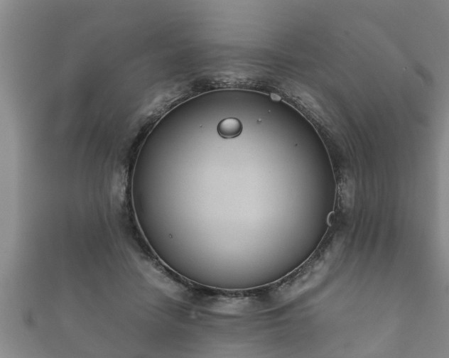 X0000112400458200908211119