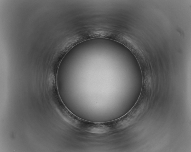 X0000112400459200908211119