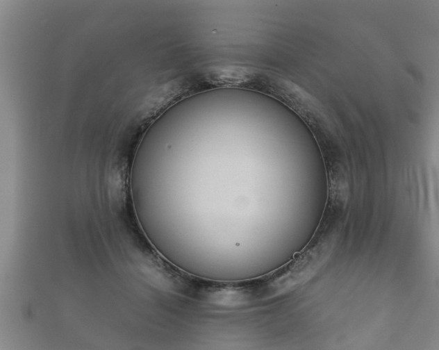 X0000112400460200908211119