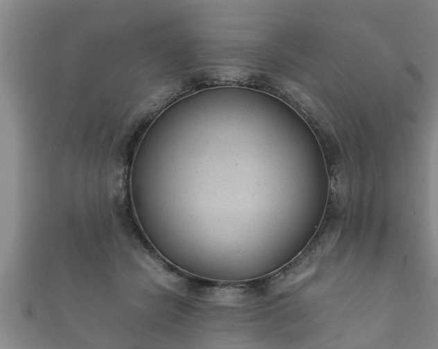 X0000112400462200908211119