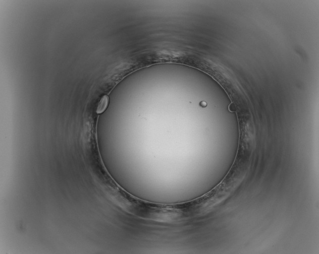 X0000112400463200908211119