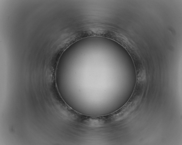 X0000112400464200908211119