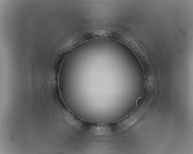 X0000112400466200908211119
