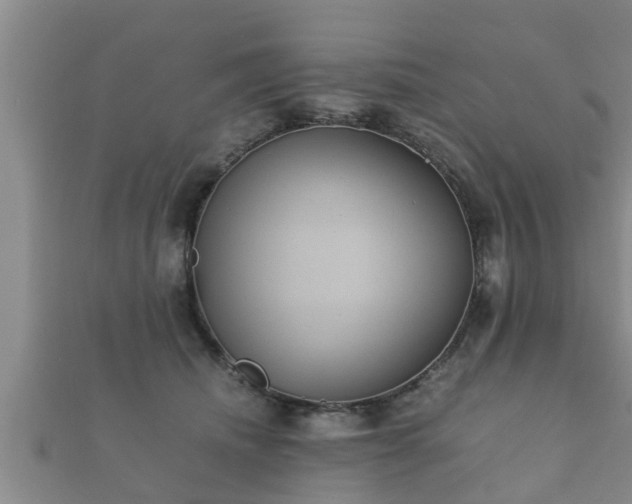 X0000112400468200908211119