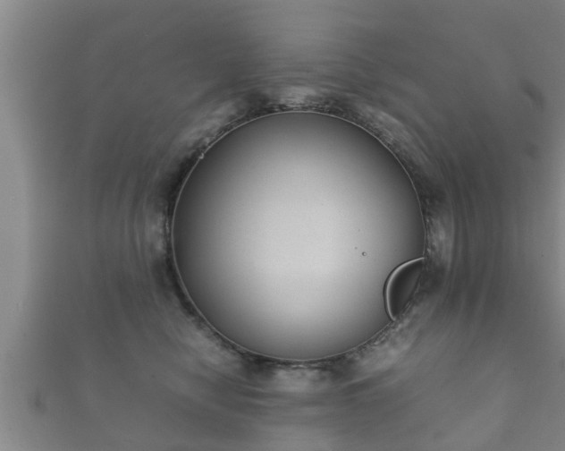 X0000112400470200908211119