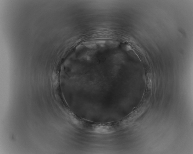 X0000112400471200908211119