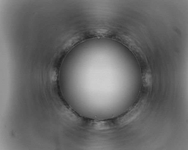 X0000112400472200908211119