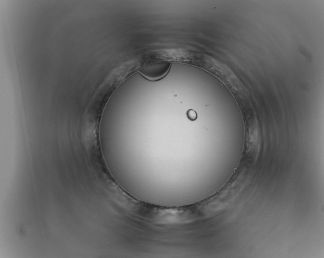 X0000112400473200908211119