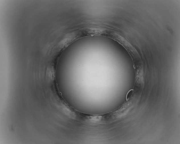 X0000112400474200908211119