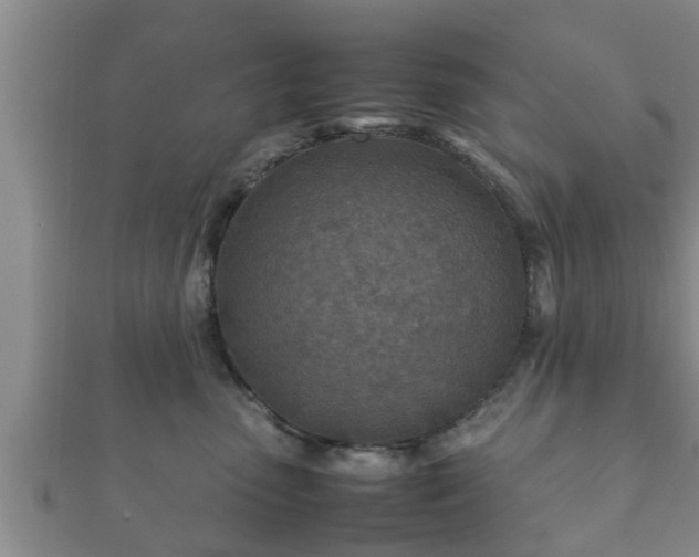 X0000112400475200908211119