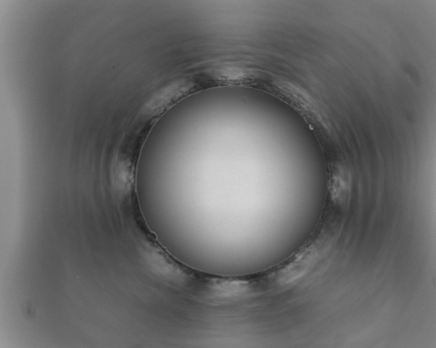 X0000112400476200908211119