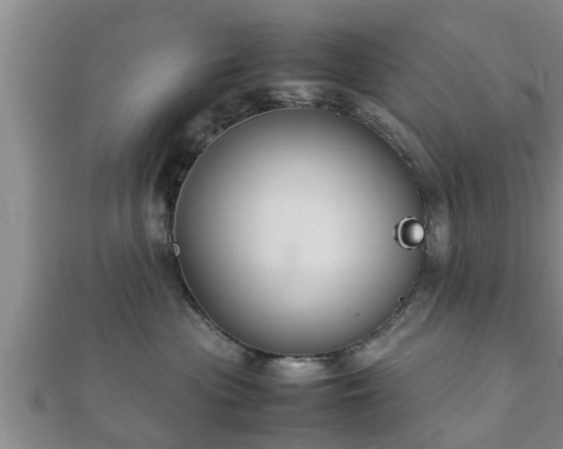 X0000112400477200908211119
