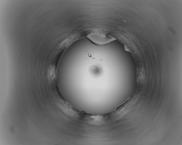 X0000112400478200908211119