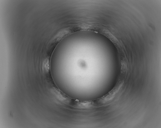 X0000112400479200908211119