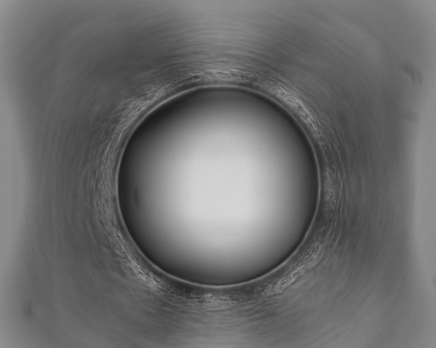 X0000112400481200908211119