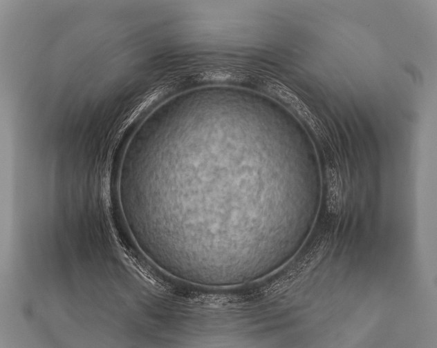 X0000112400482200908211119