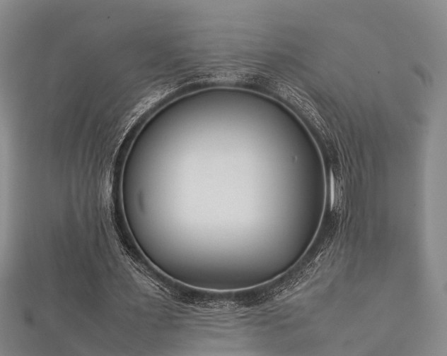 X0000112400483200908211119