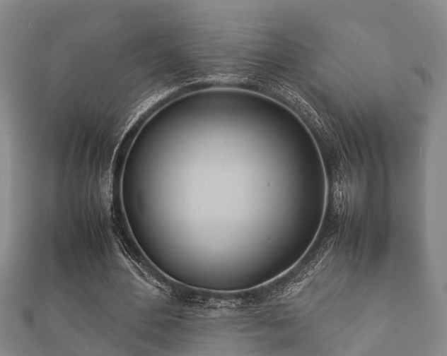 X0000112400484200908211119