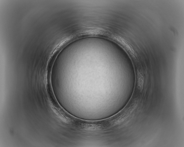 X0000112400486200908211119