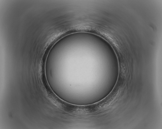 X0000112400487200908211119