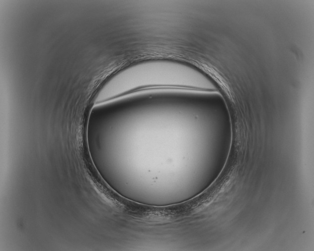 X0000112400489200908211119
