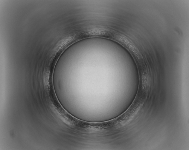 X0000112400490200908211118