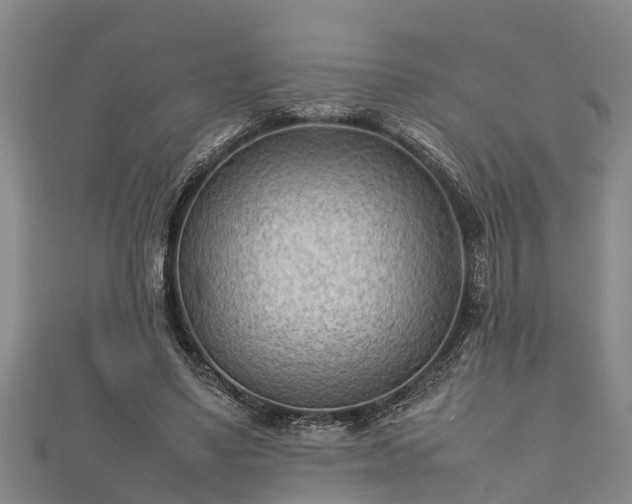 X0000112400491200908211118