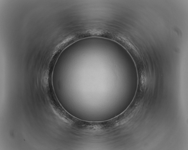 X0000112400492200908211118