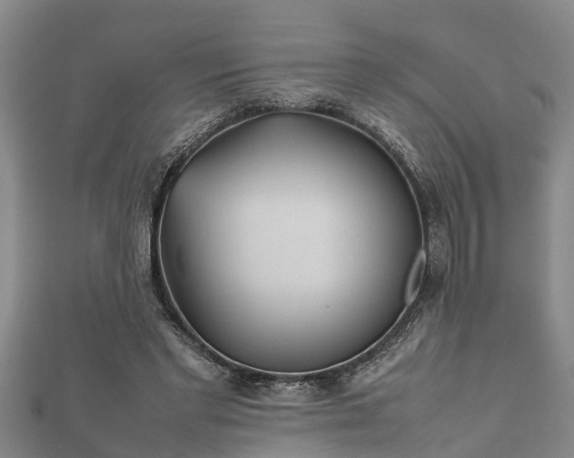 X0000112400493200908211118