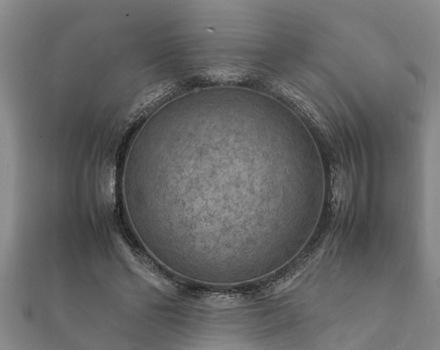 X0000112400494200908211118