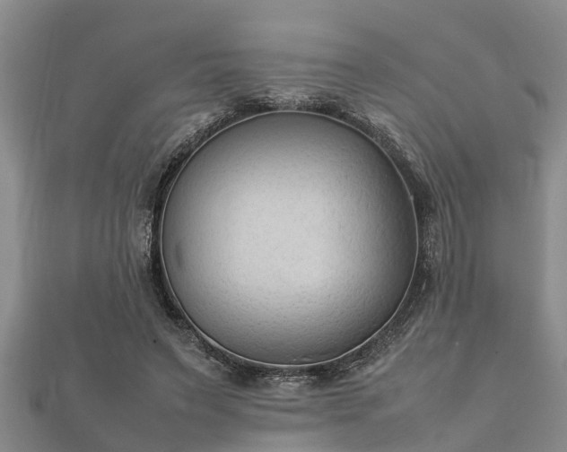 X0000112400495200908211118