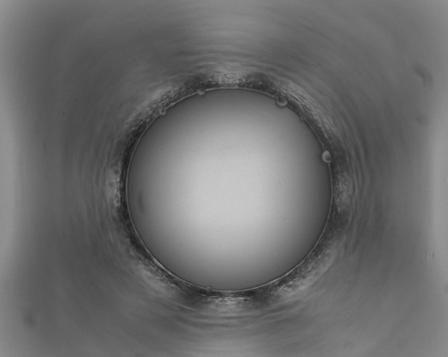 X0000112400497200908211118