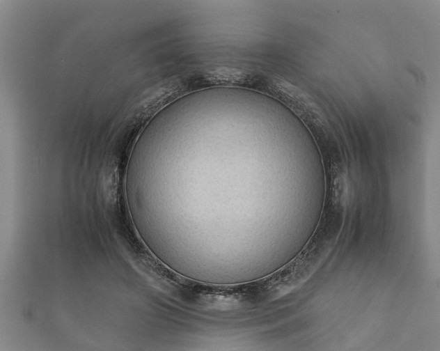 X0000112400498200908211118