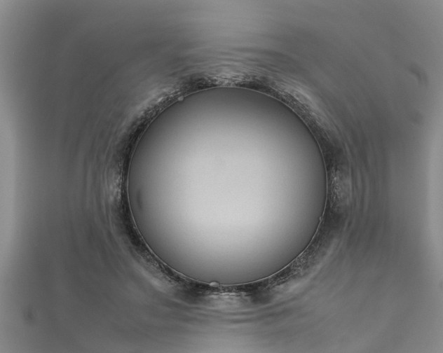 X0000112400499200908211118