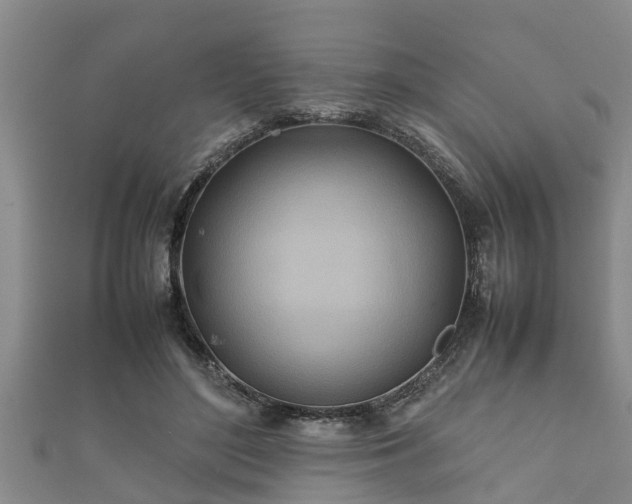 X0000112400500200908211118